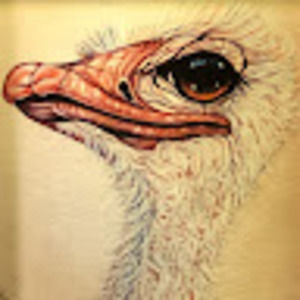 Meet your Posher, Luke